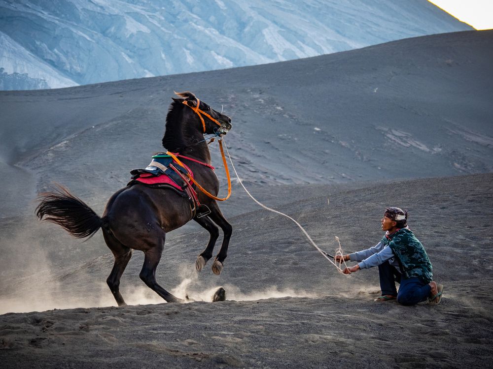 Фотография автора jc tan