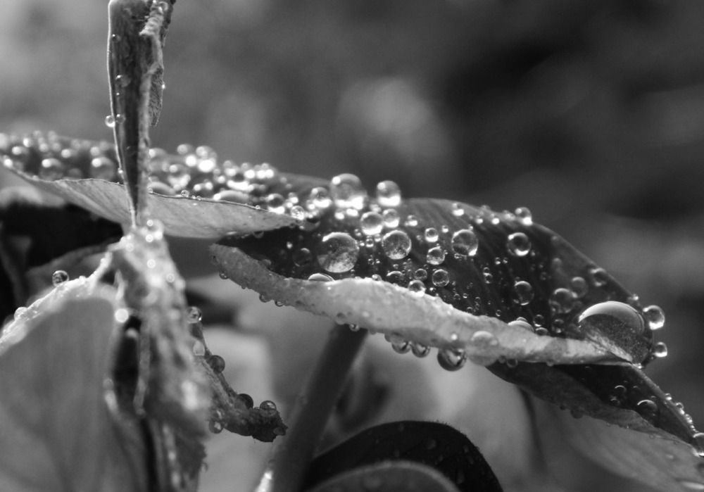 Photograph by Khushi Vashisth