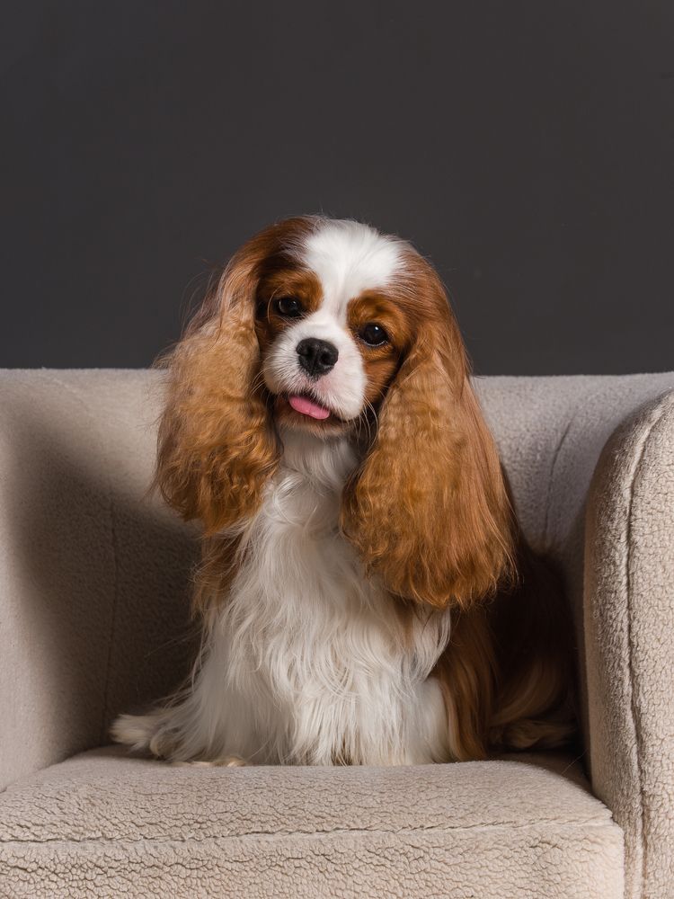 Photograph by Вальтер Кристина