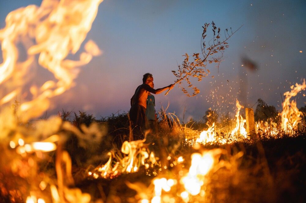 Photograph by Scott Rotzoll