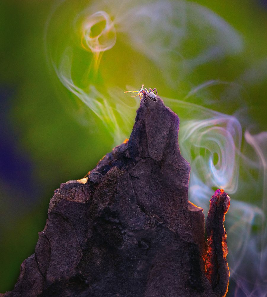 Photograph by Анатолий Плечистый