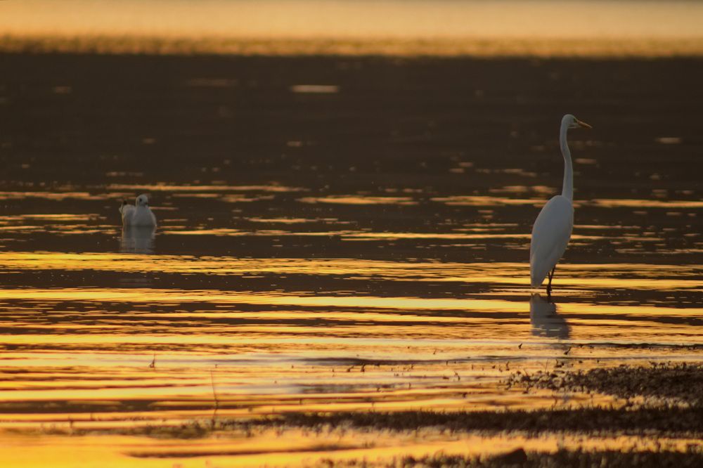 Photograph by Guillermo Topp
