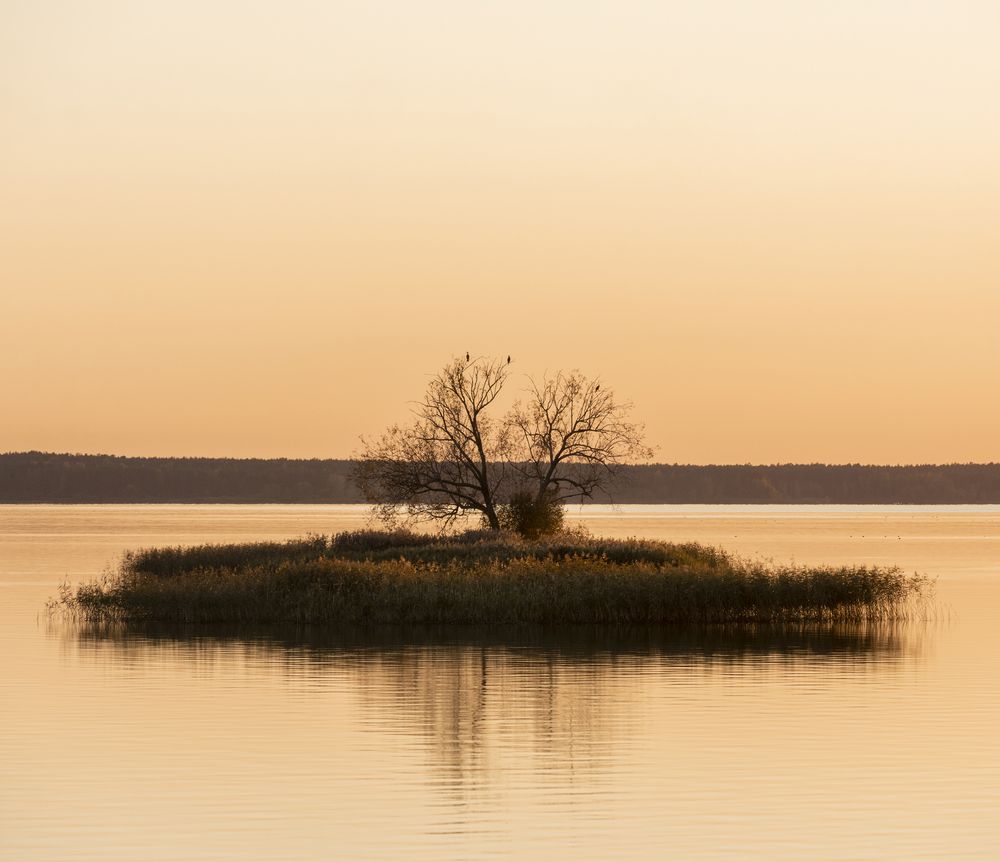 Фотография автора Александр Буренко