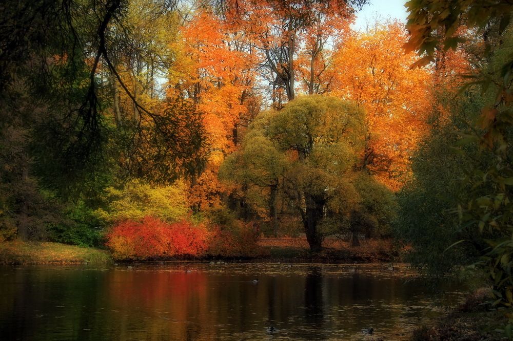 Photograph by Станислав Староверов