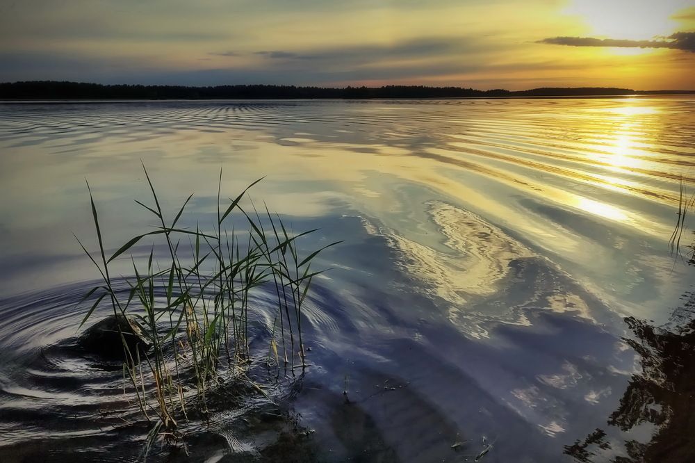 Photograph by Станислав Староверов