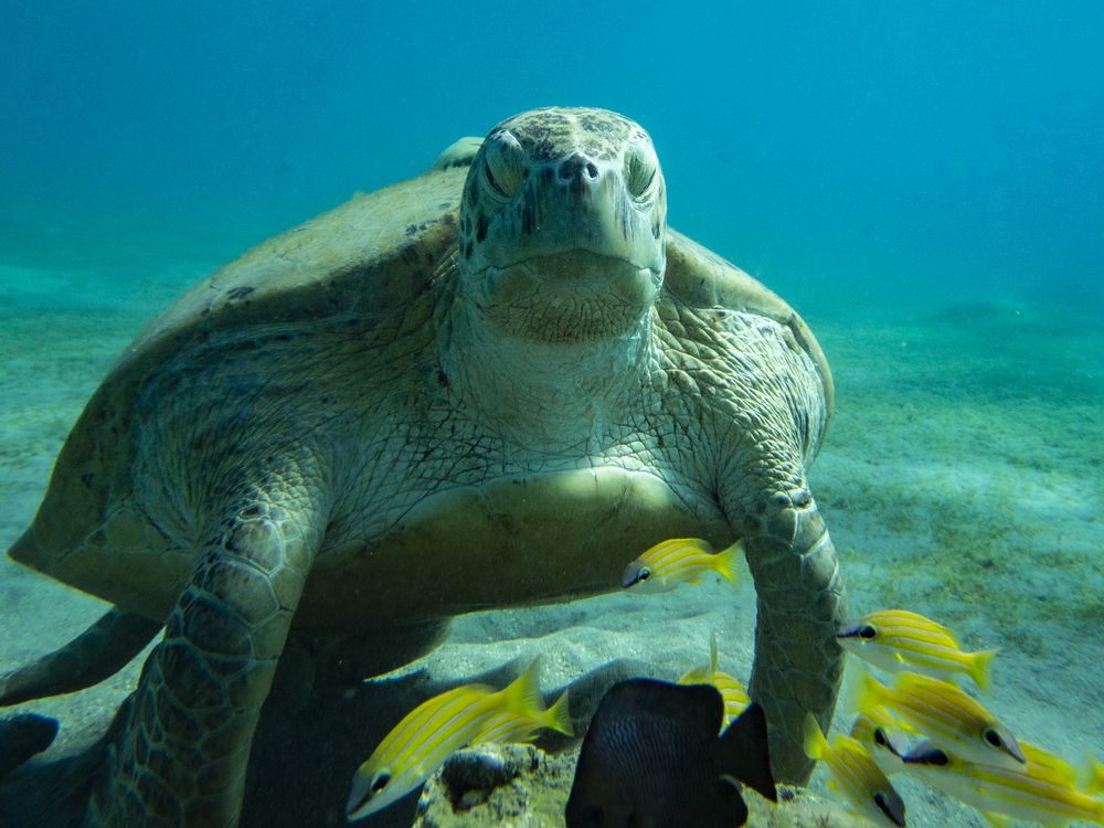 Photograph by Александр