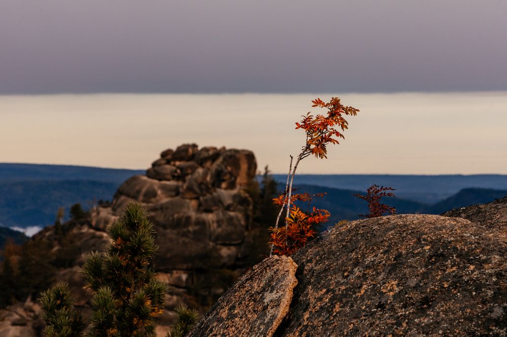 Заповедник
