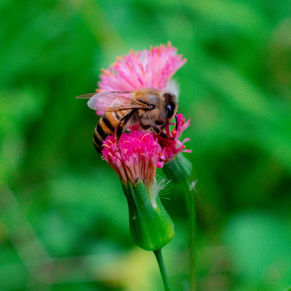 Beauty in the details