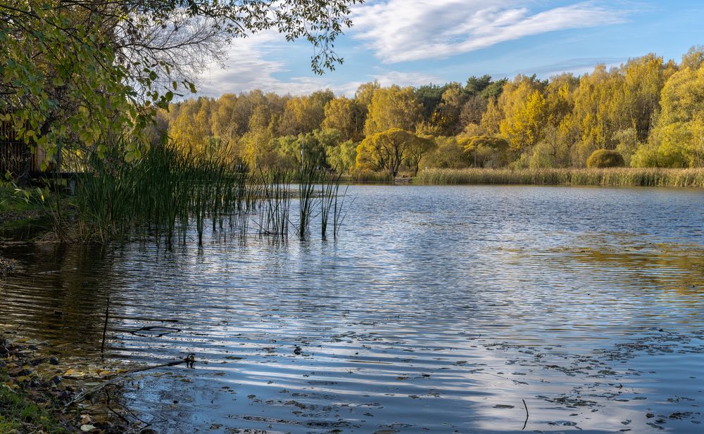 Октябрь на озере