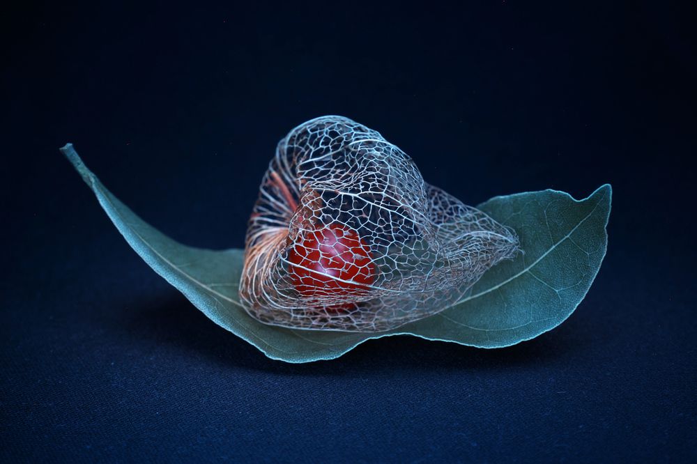 Photograph by Андрей