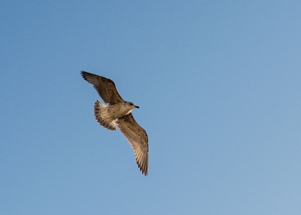 Photograph by Vjaceslavs