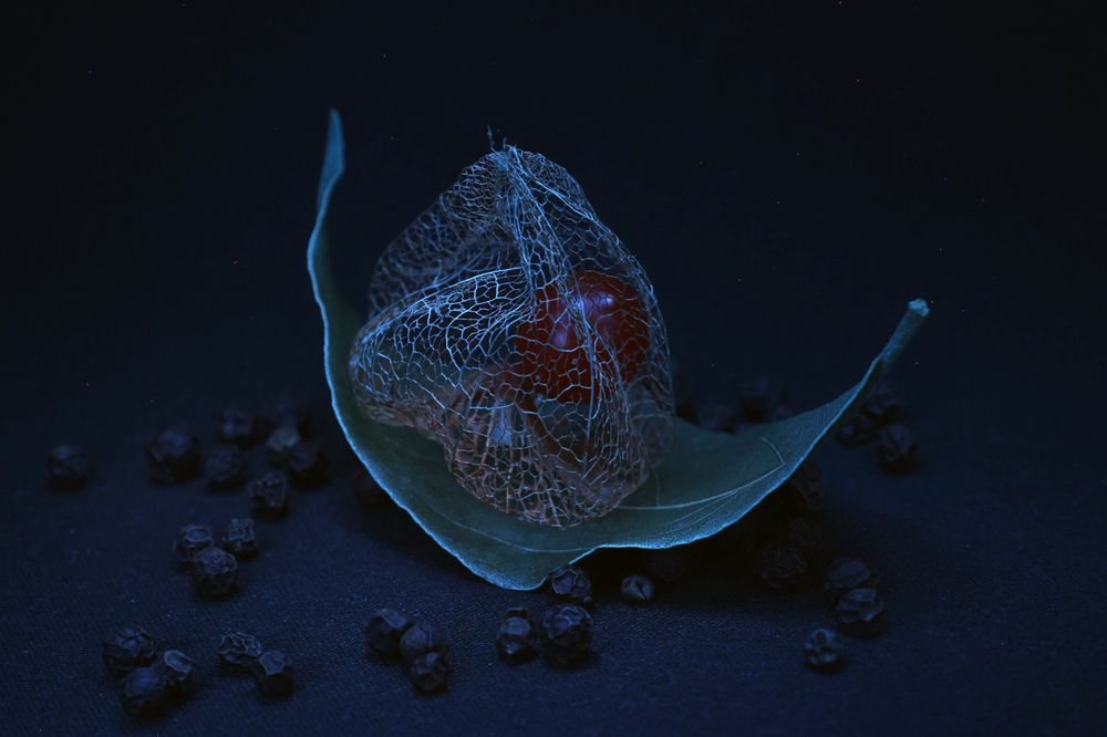 Photograph by Андрей