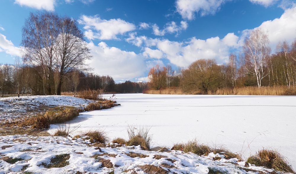 Фотография автора Евгений Трофимов