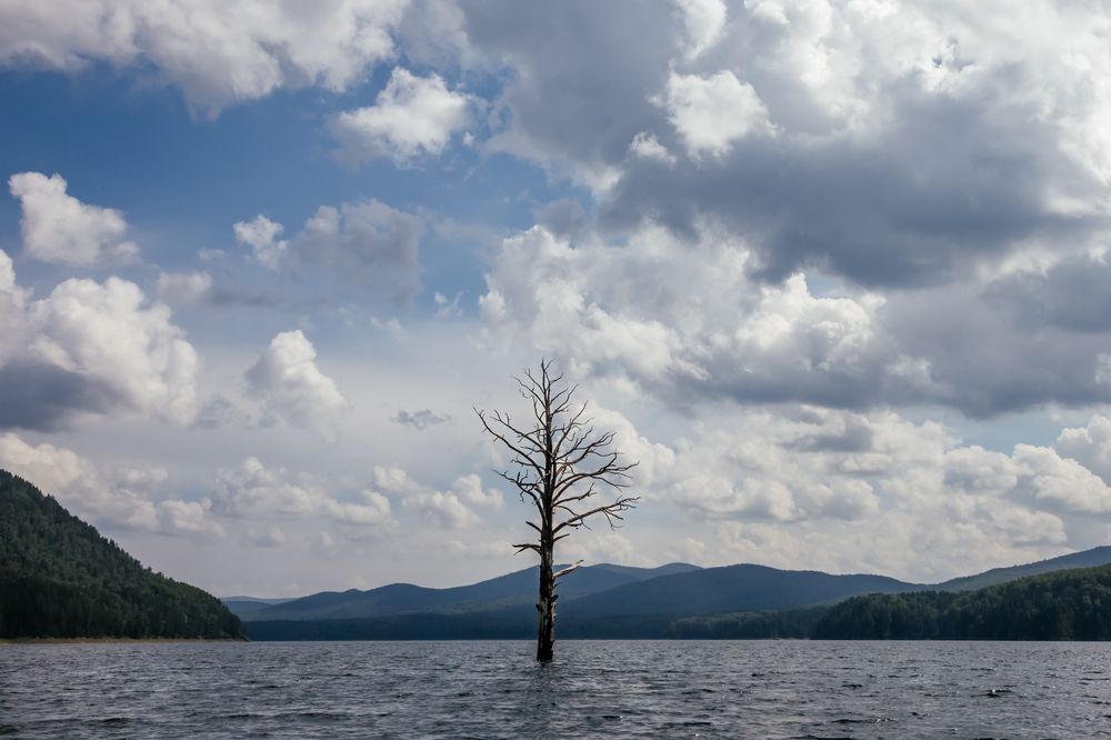 Photograph by Корчагина Оксана