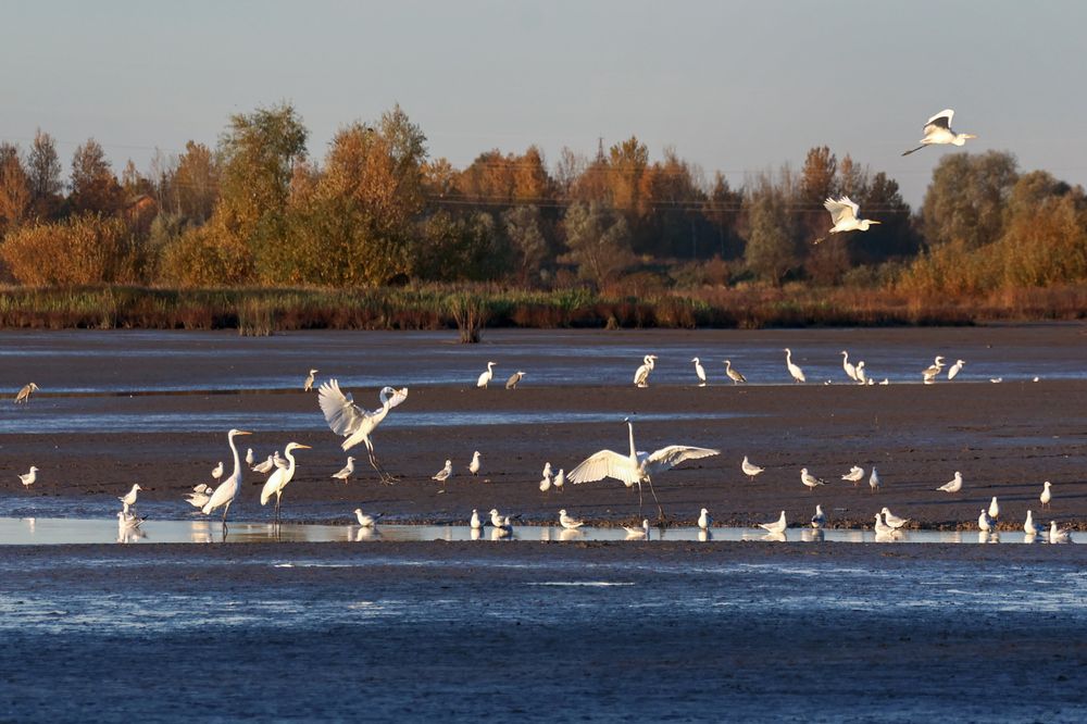 Photograph by Андрей