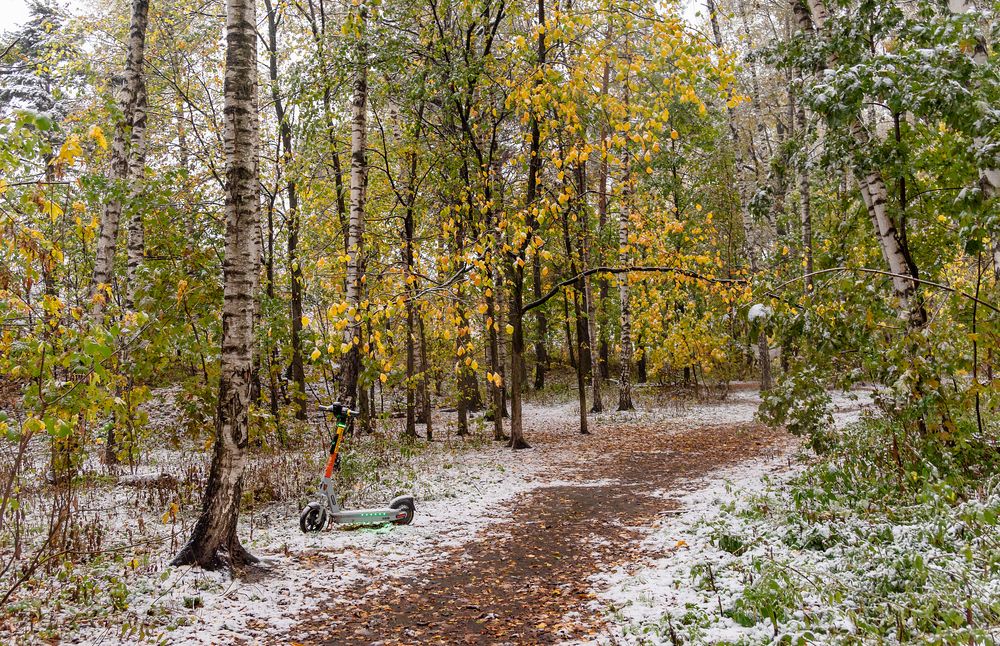 С первым снегом!