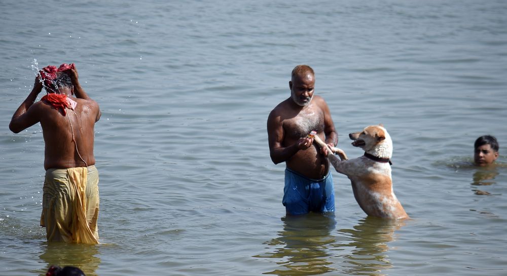 Photograph by Dipankar Majumdar