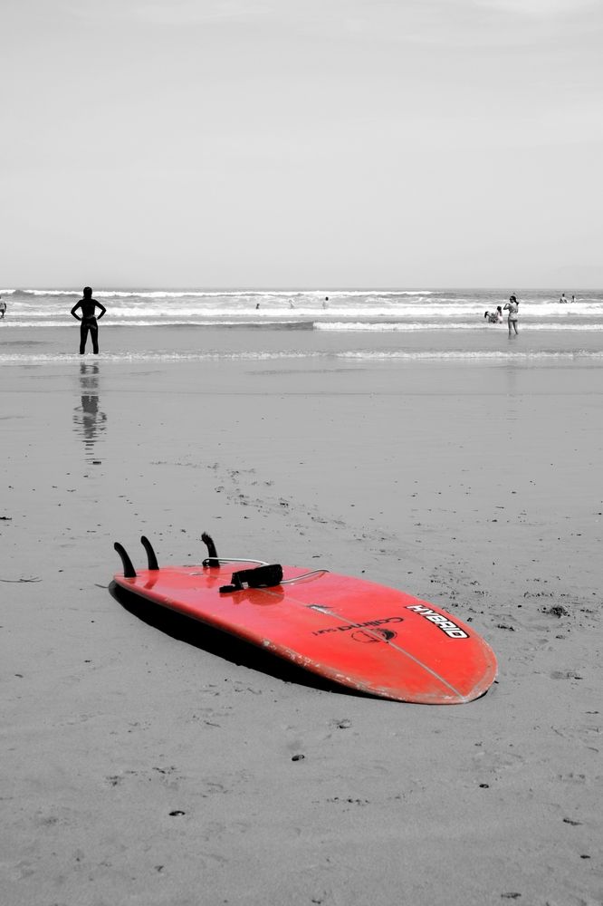 Photograph by Александр Белогаев