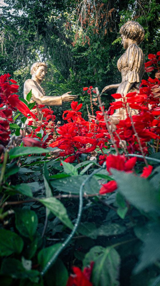 Photograph by Илья Юриков