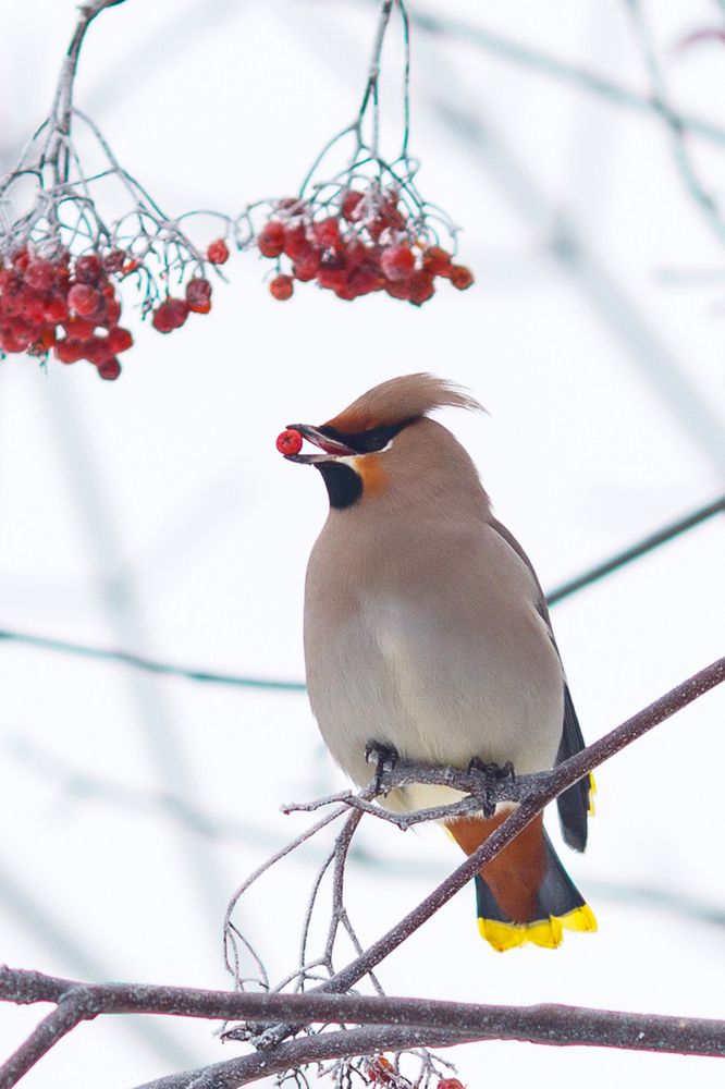 Фотография автора Гудкова Светлана
