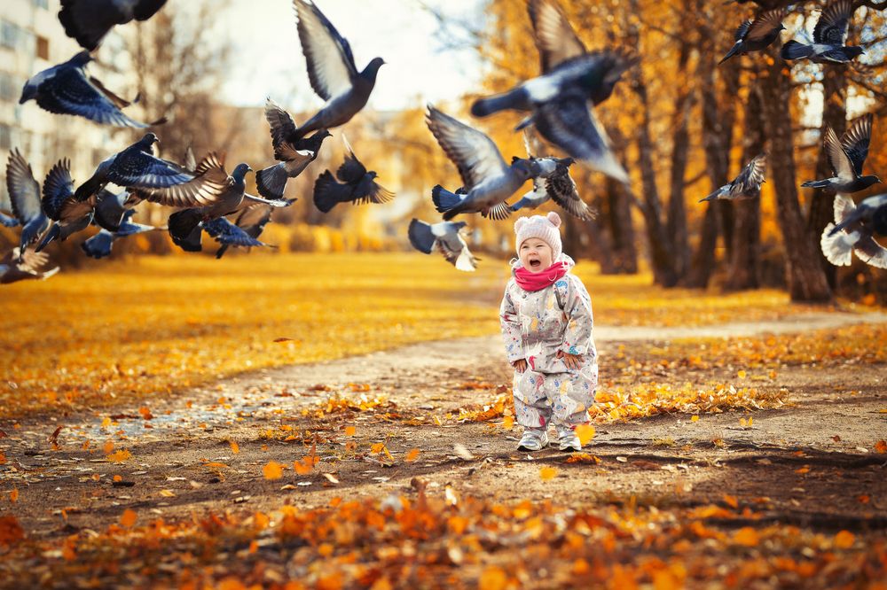 Фотография автора Наталия Комарова