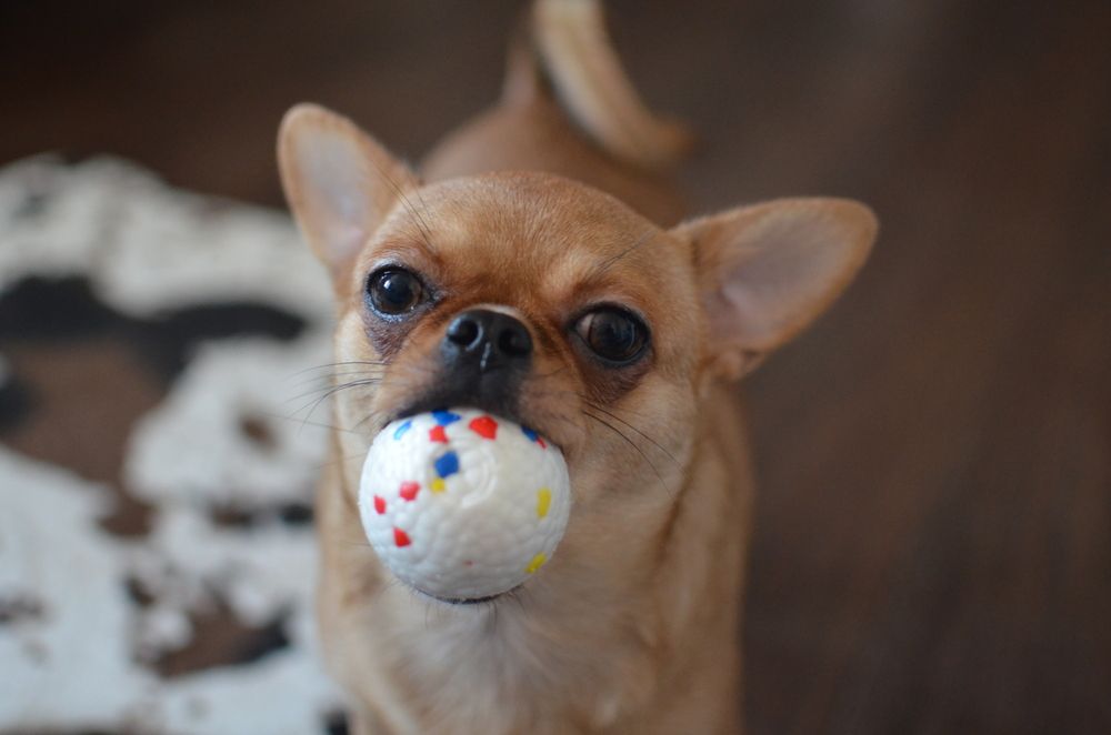 Живой теннис