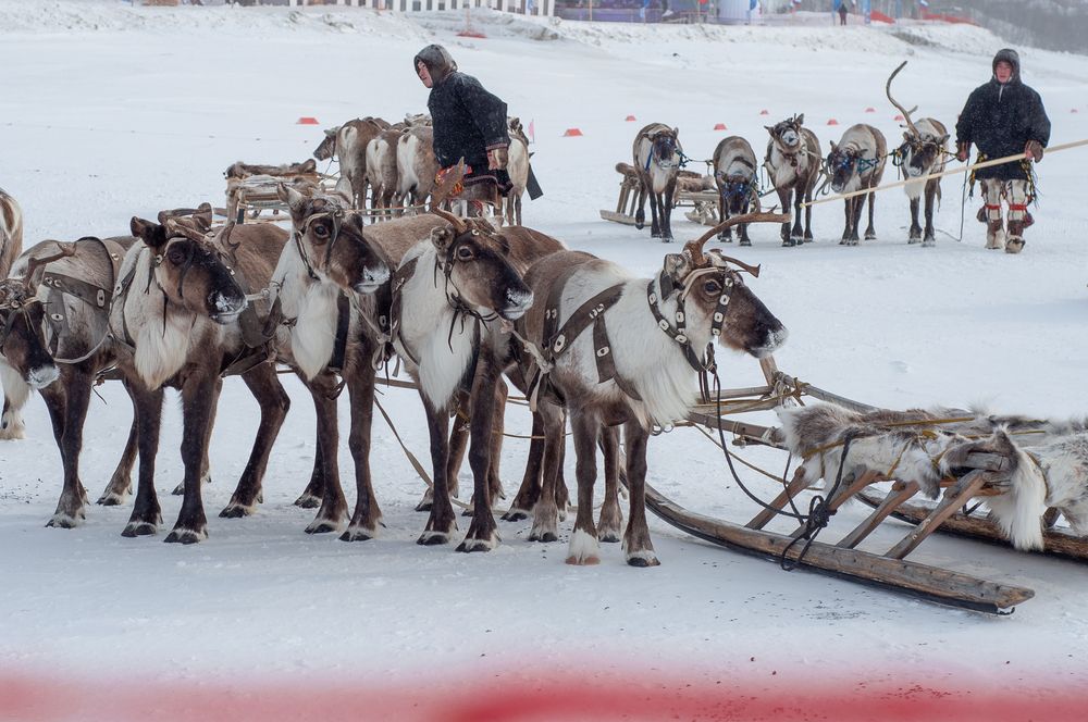 Photograph by Анна Орманжи