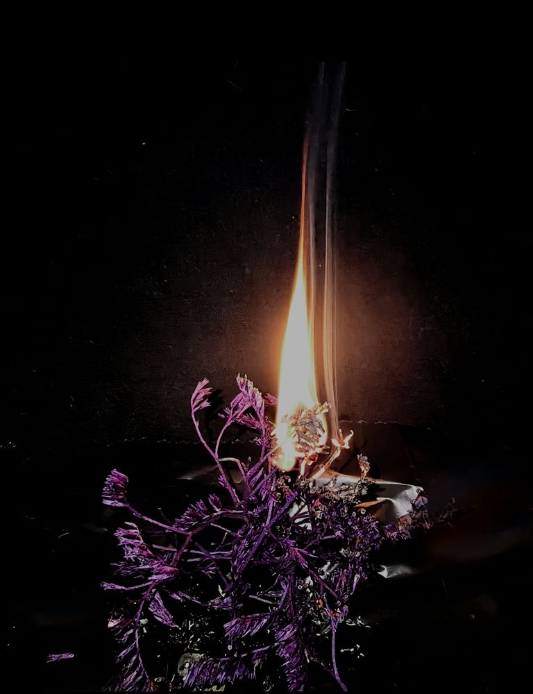 Photograph by Ирина Тихая