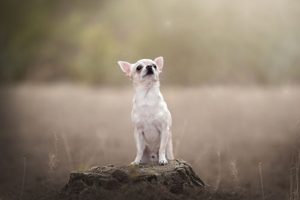 Фотография автора Ana Sánchez