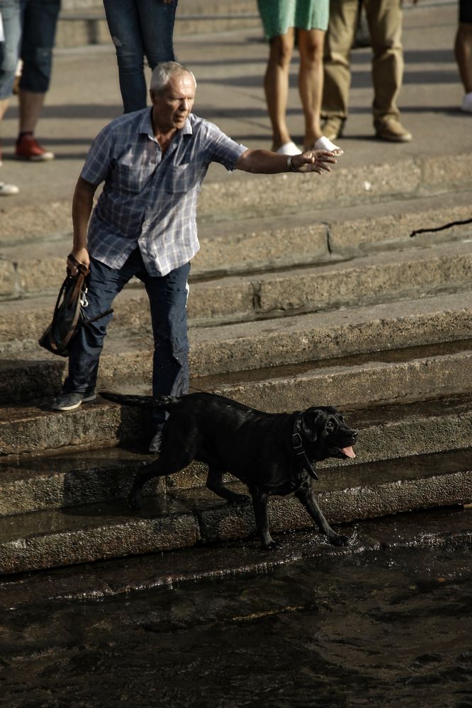 Photograph by Анастасия Псарёва