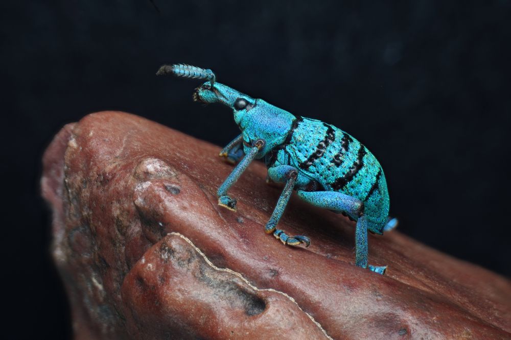 Фотография автора Hasan Al hamada