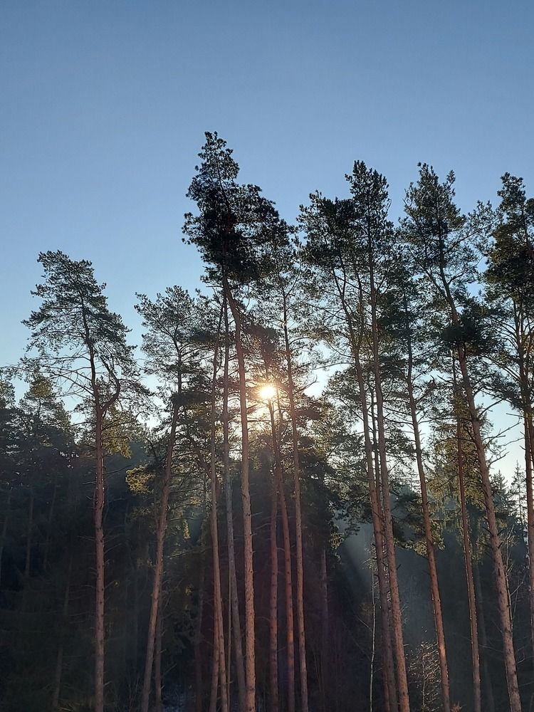 Photograph by ЭЛЬМИРА  ИСМАИЛОВА