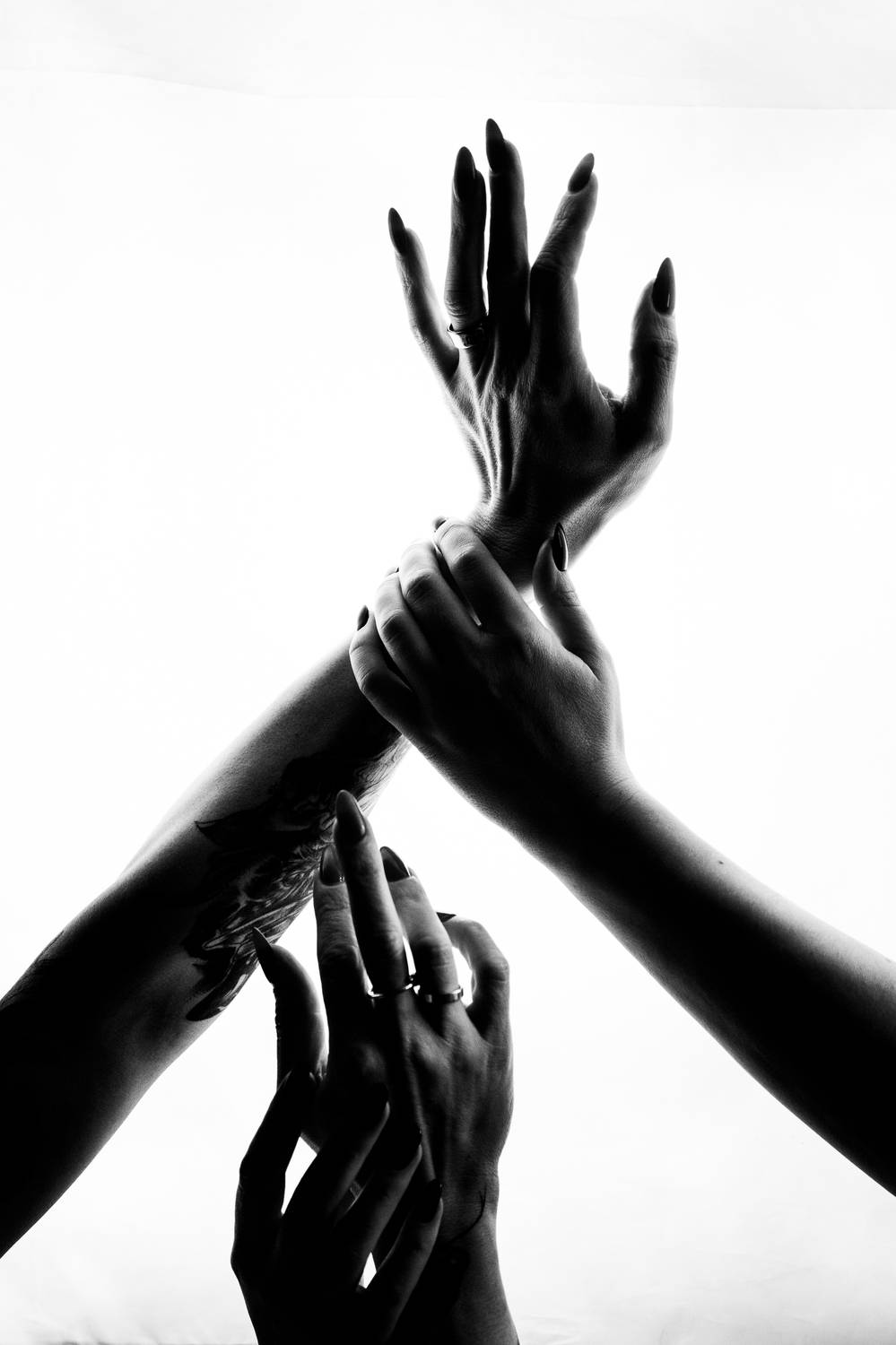 Фотография #12007372