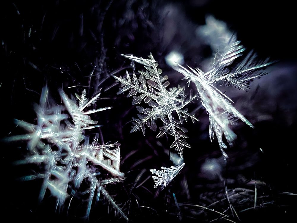 Photograph by Elvira