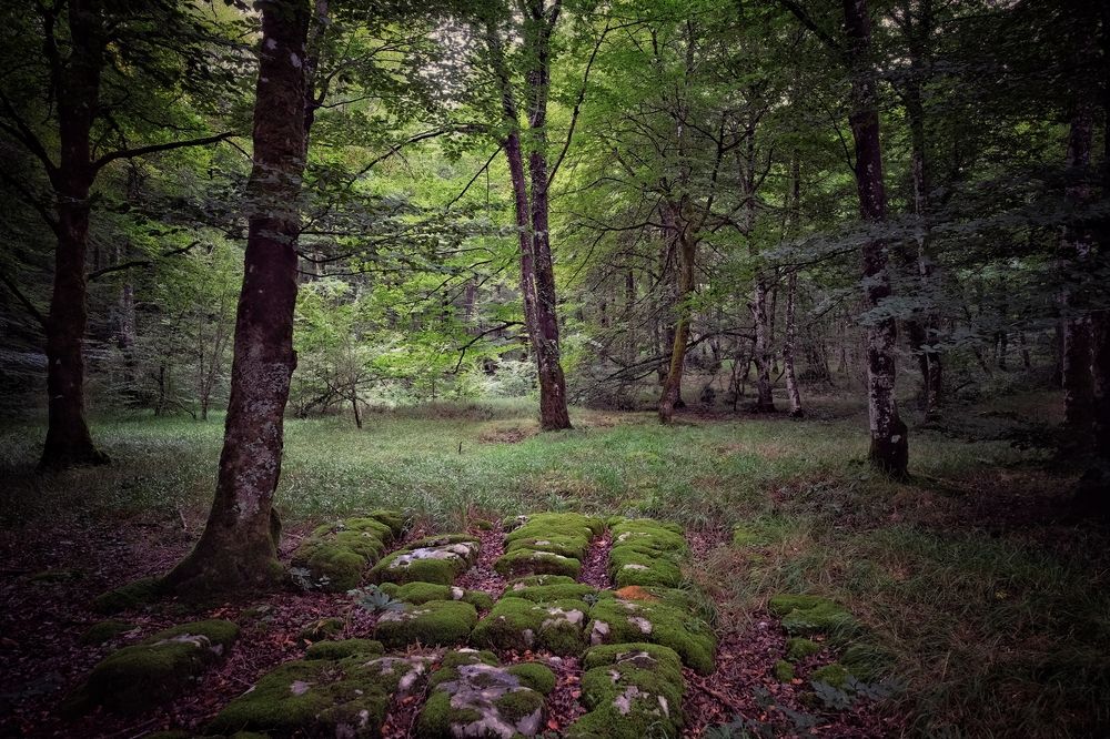 Photograph by Александр Белогаев