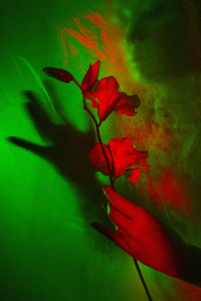 Photograph by Шамаев Валерий