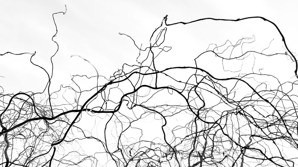 Photograph by Наталья Кулемина