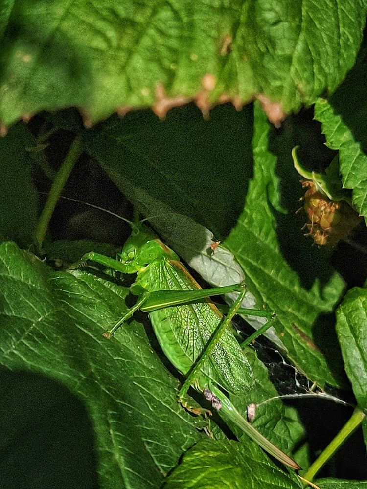 Photograph by Алина