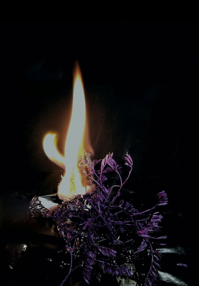 Photograph by Ирина Тихая