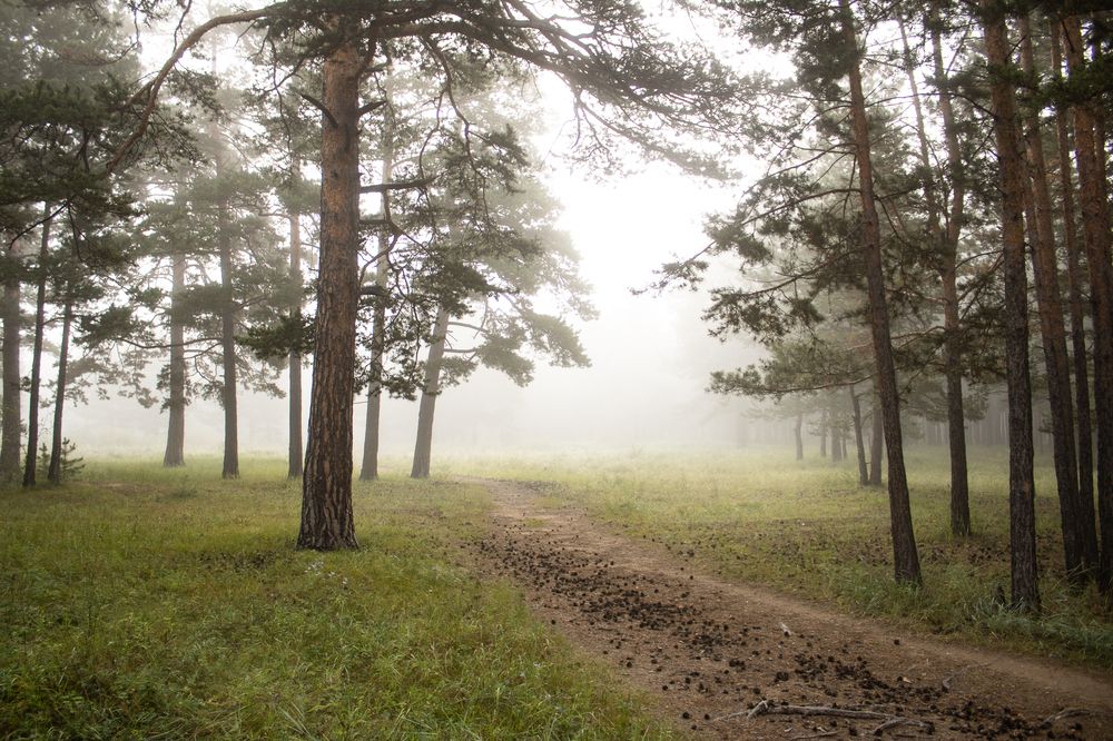Фотография автора Пешков Егор