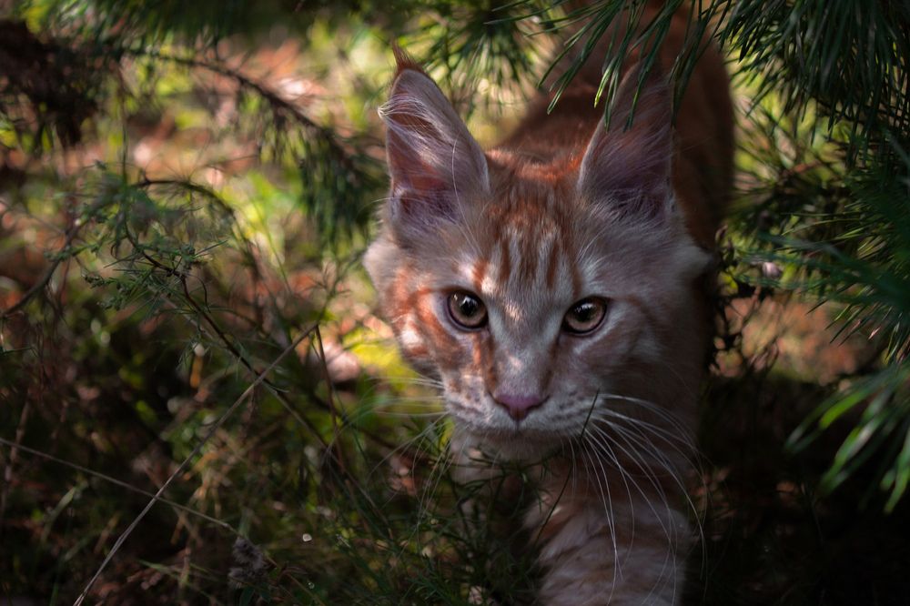 Photograph by Nika Prokopenko