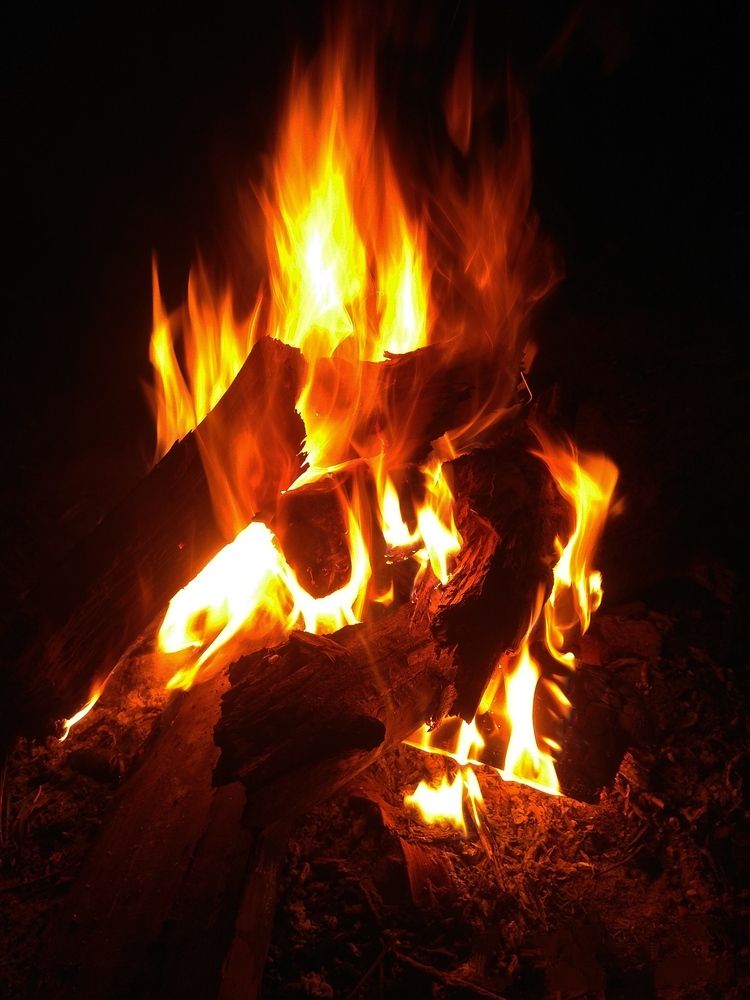 Photograph by Светлана Таркан