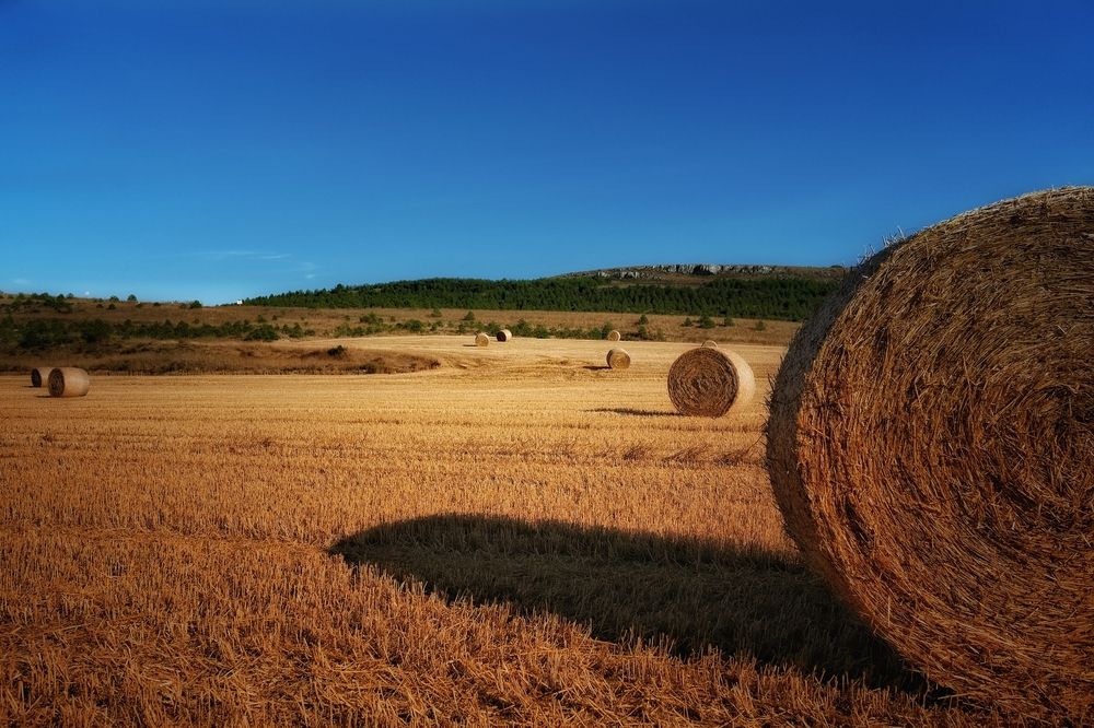 Photograph by Александр Белогаев