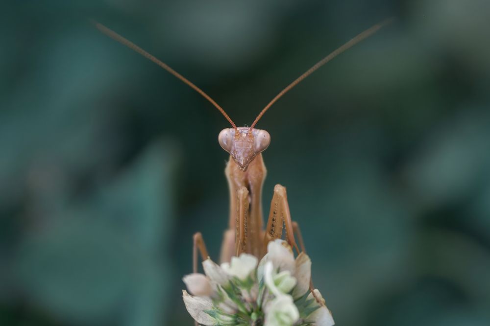 Фотография автора Ketov Vladimir