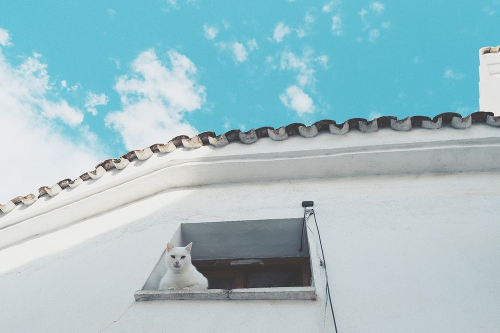 Photograph by Александр Белогаев