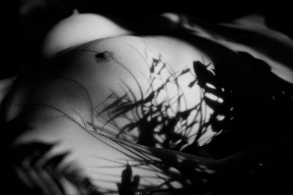 Фотография автора Юрий Бессуднов