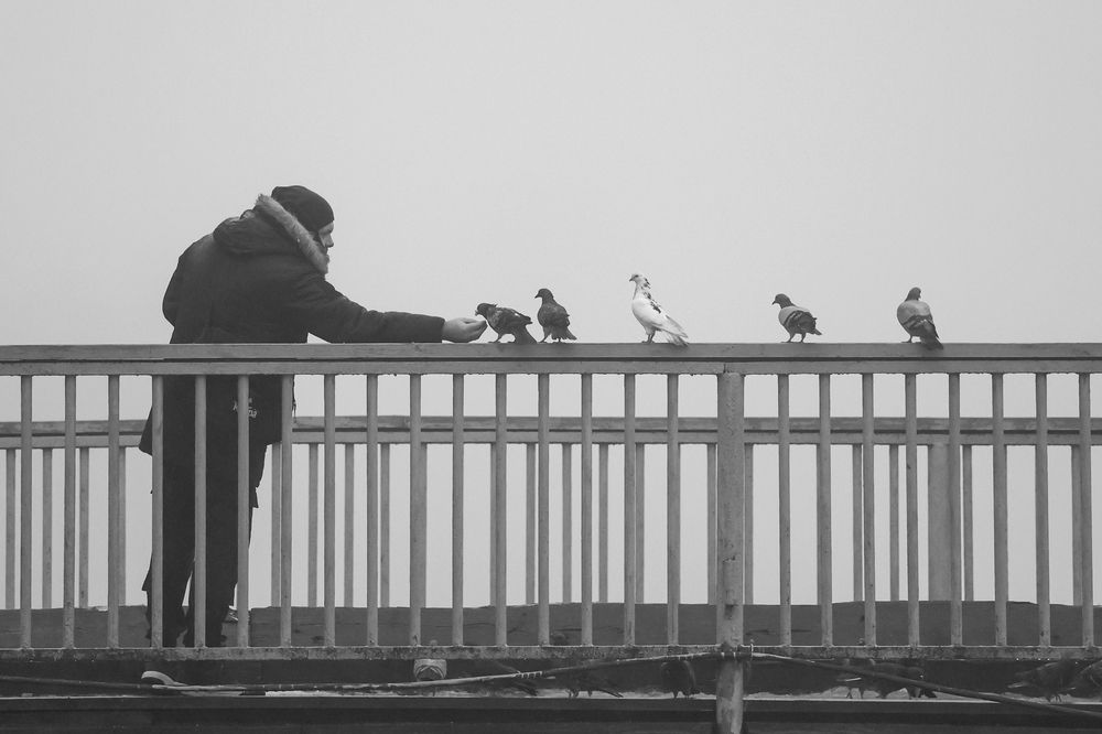 Photograph by Андрей