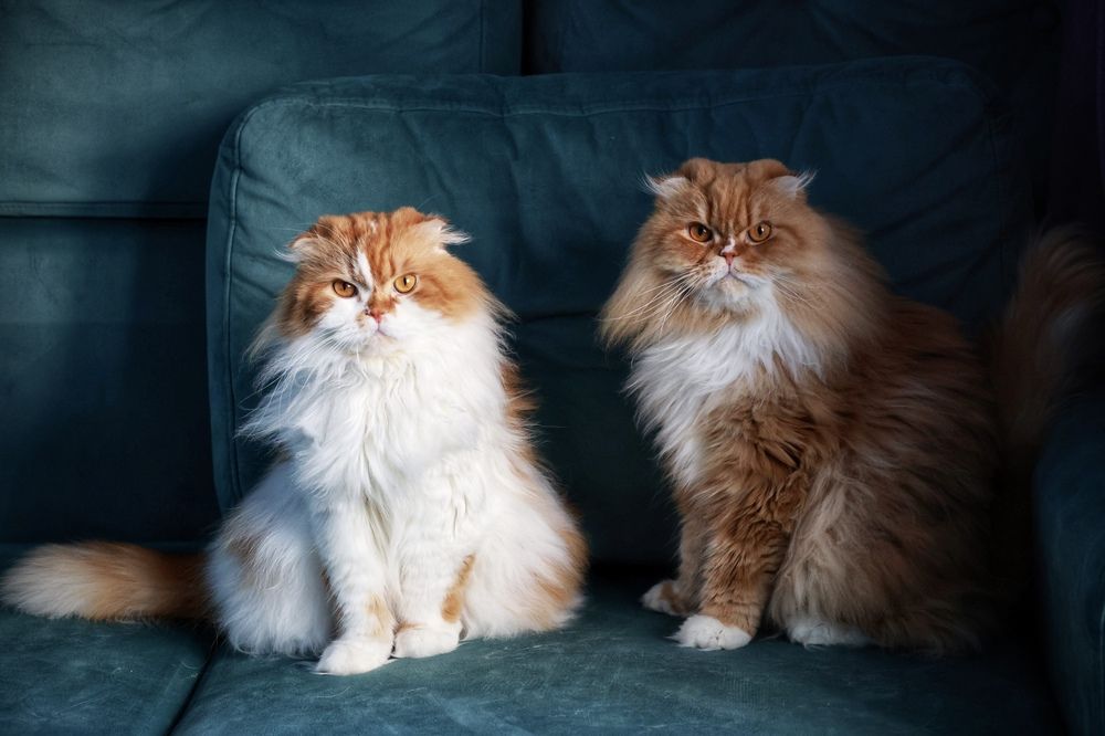 Photograph by Ольга Веретенникова