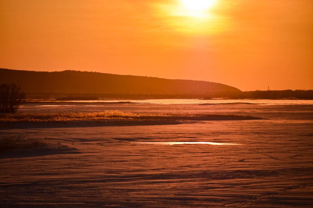 Photograph by Elvira