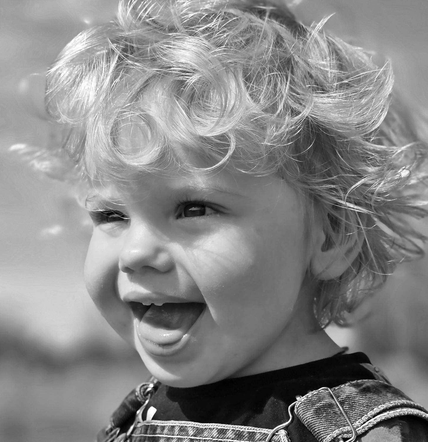 Photo #12007548